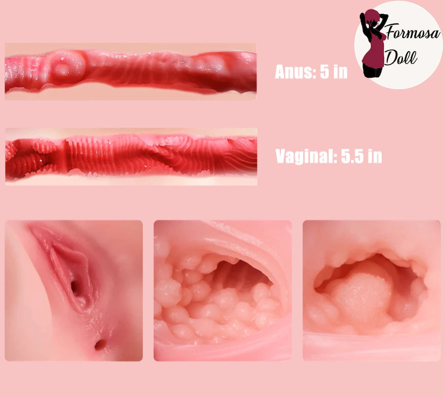 Gala 7,48 kg (16,5 lb) - Poupée sexuelle BBW avec torse aux courbes réalistes et peau douce